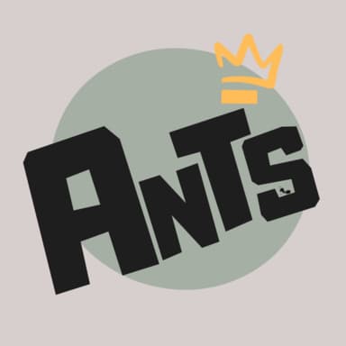 The Ants Nest 🐜